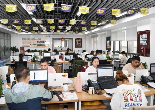 串珠成链 宁波人力资源服务机构突破1500家，数字技术服务驱动年营收达280亿